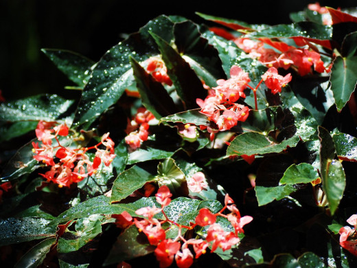 429294 (a): :1600x1200